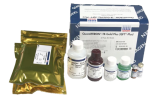 QFT-Plus ELISA 試劑內容物照片
